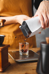 Barista pouring roasted coffee beans in cup to scale and measure