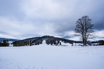 Fototapeta na wymiar Winter landscape with dramatic sky - Saignelégier, Switzerland