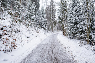 Snow covered road in the forest - Saignelégier, Switzerland