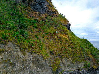 Young man climbing a mountainous wall in a beach of Azores.