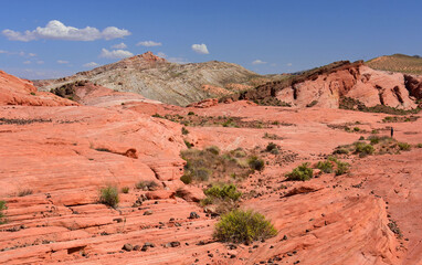 hiking along the  eroded and colorful sandstone of the fire wave trail in valley of fire state park on a sunny day , near overton, nevada