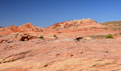 Fototapeta premium the colorful and eroded desert landscape of valley of fire state park on a sunny day , near overton, nevada
