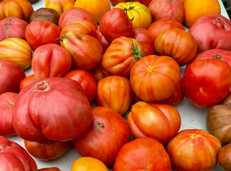 red and yellow heirloom tomatoes at the farmers market