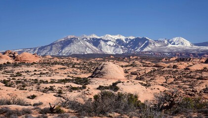 Fototapeta premium petrified sand dunes and the snow-capped la sal mountains in arches national park, near moab, utah