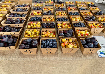 fruit and berries in boxes in a colorful pattern