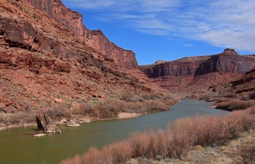 eroded red rock  canyon walls on a sunny day   along the scenic colorado river  north of moab,  utah