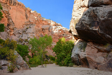  red canyon cliffs along the spectacular little hackberry canyon trail  on a sunny autumn  day in...
