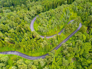 Aerial view of a tropical road surrounded by trees from above by a drone.