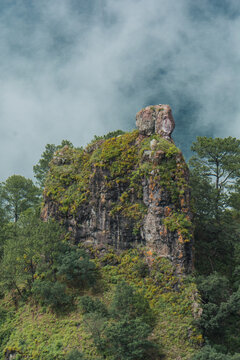 Green Sanctuary, Sierra De Surutato, Sinaloa