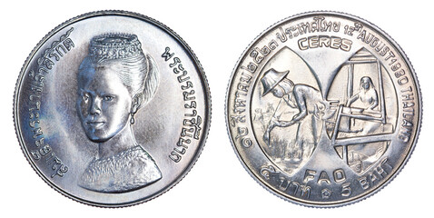 Thailand five baht coin, (1980, B.E.2523) isolated on white background. - obrazy, fototapety, plakaty