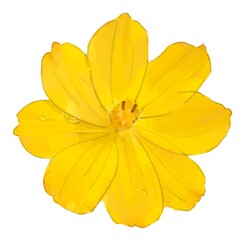 一輪の黄色い花のイラスト