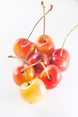 Rainier cherries in white background
