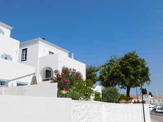 Gardens and traditional houses, on the island of Spetses, in Greece