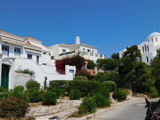 Fototapeta na wymiar Gardens and traditional houses, on the island of Spetses, in Greece