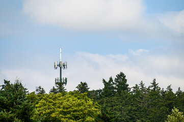 Mobile communications tower with antennas on top, showing above a forest tree line, sky and clouds in the background
