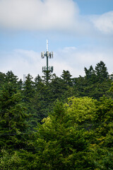 Mobile communications tower with antennas on top, showing above a forest tree line, sky and clouds in the background
