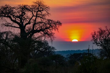 sunset over the river