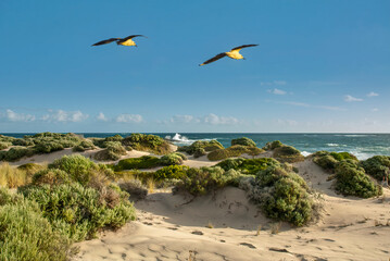 Beautiful turquoise coast, of  Western Australia