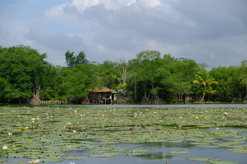 Guatemala Livingston - Rio Dulce - Lago de Izabal
