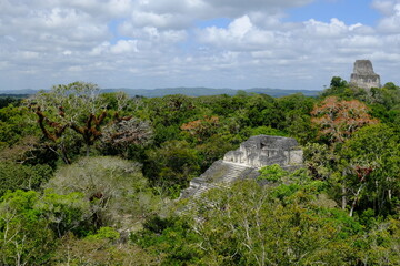 Fototapeta na wymiar Guatemala Tikal National Park - Aerial view from Temple IV Pyramid