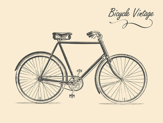 Old classic vintage bicycle. Vector