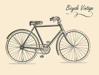 Old classic vintage bicycle. Vector