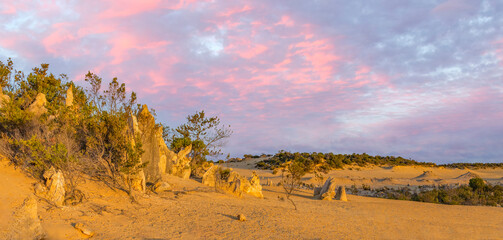 Panorama of the Pinnacles desert of Nambung National Park Western Australia Australia