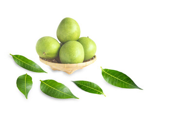 Mangoes on white background