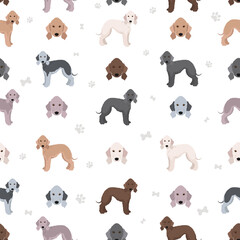 Bedlington terrier clipart. Different coat colors and poses set