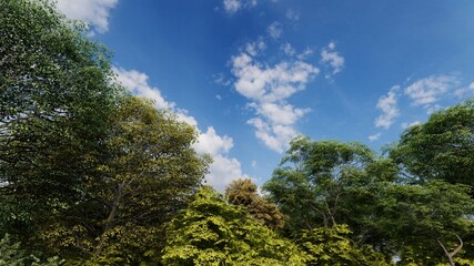 Obraz premium the summer forest