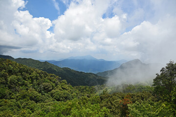 view of the mountains and forests, illuminated by the sun, the cloud covers the top of the mountain