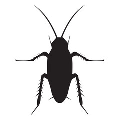 cockroach icon vector illustration sign