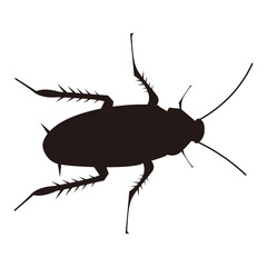 cockroach icon vector illustration sign