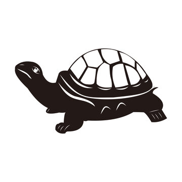 turtle icon vector illustration sign