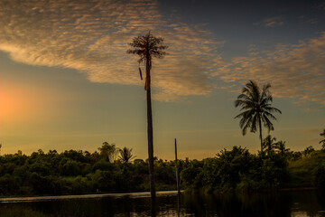 The sky in the evening