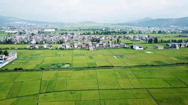 Aerial photography of Chinese rural landscape. Green fields and houses