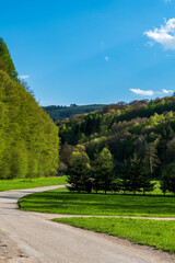 Narrow curving road with hills covered by trees and meadows on the background during beautiful springtime day