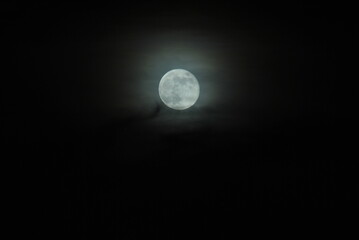 full moon in the night