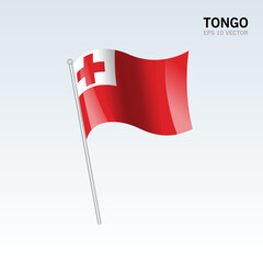 Tonga waving flag isolated on gray background