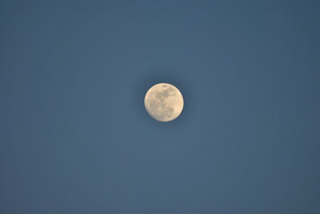 Obraz premium full moon over the sky