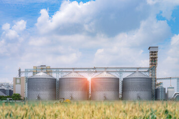 Modern Granary elevator. Silver silos on agro-processing and manufacturing plant for processing drying cleaning and storage of agricultural products, flour, cereals and grain