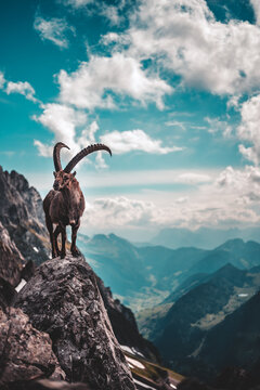 Aplsteingebiet Schweiz