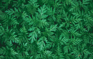 Naklejka na ściany i meble Natural green background from green leaves 