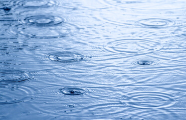 rain drops on water with selective focus