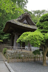 Fototapeta na wymiar 日本　風景　庭園