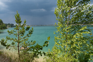 view of the river in the summer