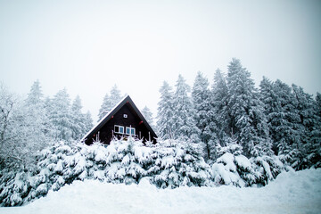Eingeschneite Holzhütte in Winterlandschaft im Schwarzwald, Deutschland. 