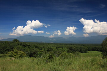 北軽井沢の夏。浅間牧場の風景。放牧場の向こうに見える信州の山と、白い雲、青い空。