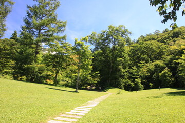 軽井沢の夏。芝生の広場を抜け森へと入っていく小径。