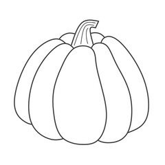 Pumpkin outline, doodle, contour. Vector illustration.